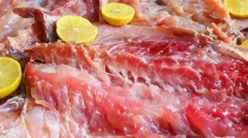 حقائق طبية تكشف علاقة الفسيخ باحتباس السوائل وتأثيره على ضغط الدم